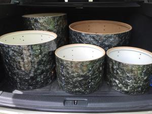 Ludwig Edge and Wrap Repairs